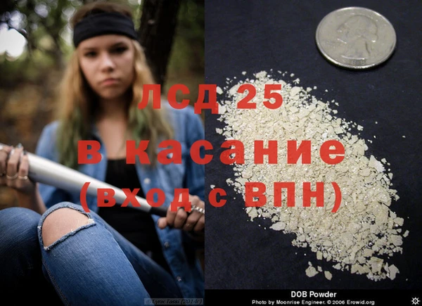 ECSTASY Алзамай