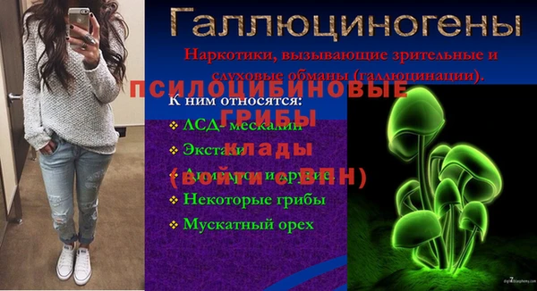 ECSTASY Алзамай