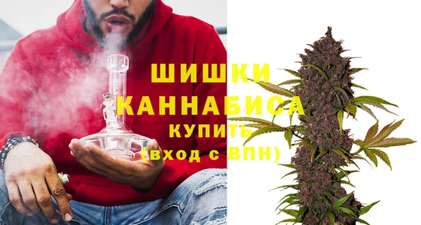 шишки Алексеевка