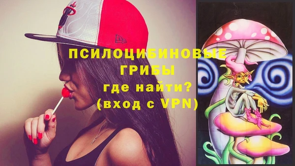ECSTASY Алзамай