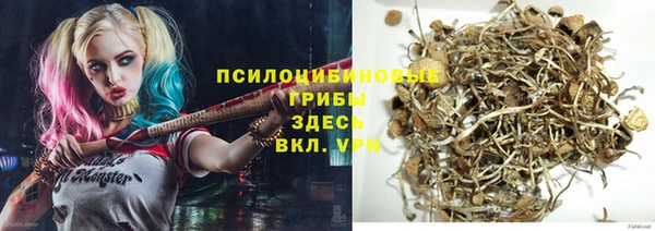 ECSTASY Алзамай