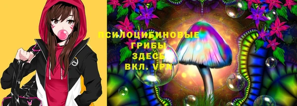 шишки Алексеевка